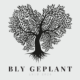 Bly Geplant